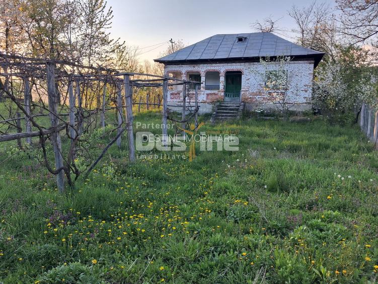 Casă bătrânească cu teren 1150 mp, vie și livadă – Șerbănești, Păușești, Vâlcea - 4