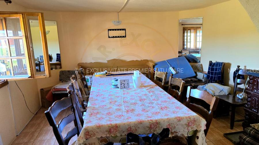 casa 3 camere Viile Satu Mare - 3