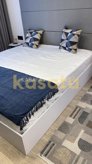 Apartament 2 camere Herastrau - 9