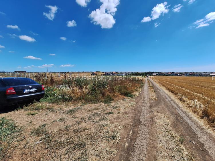 Teren de vanzare intravilan 5000mp localitatea Lazu - 4