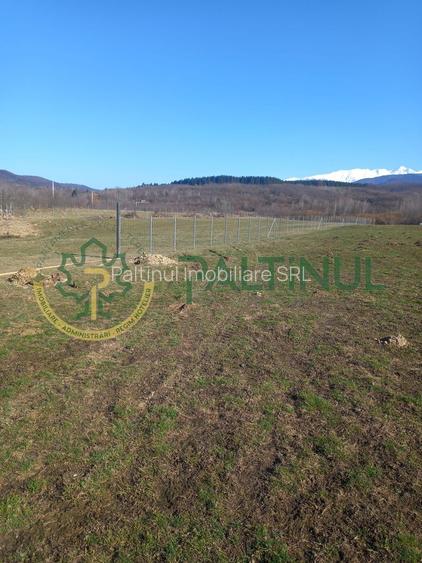 Vindem teren Sibiu, Valea Lupului, priveliste deosebita - 4