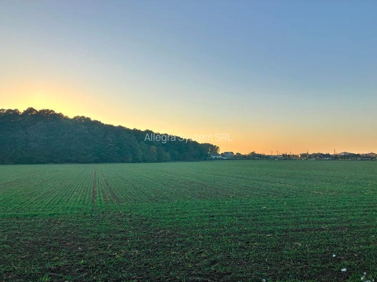 Vecin cu padurea - str. Plevnei - 6