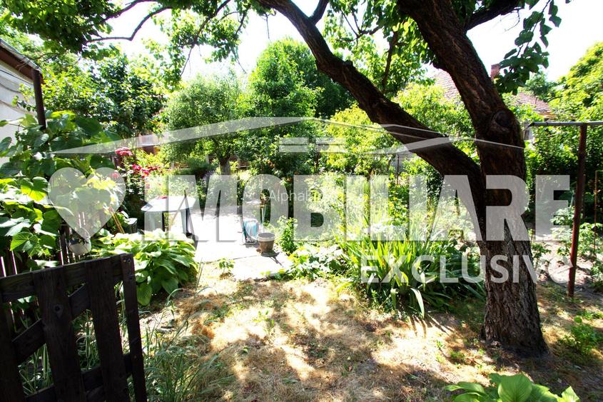 Casa 2 camere - Printul Turcesc, Timisoara - 4