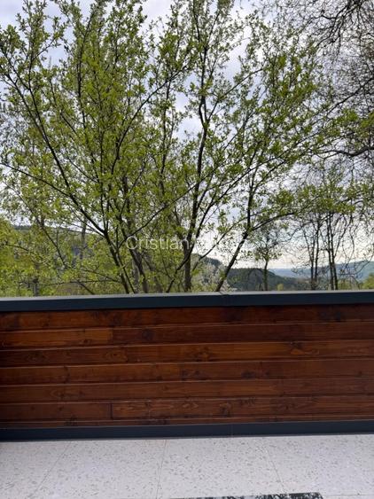 Complex A-Frame – 2 cabane construite + 3 în proiect (AC) -  suprafata 2157 mp - 13