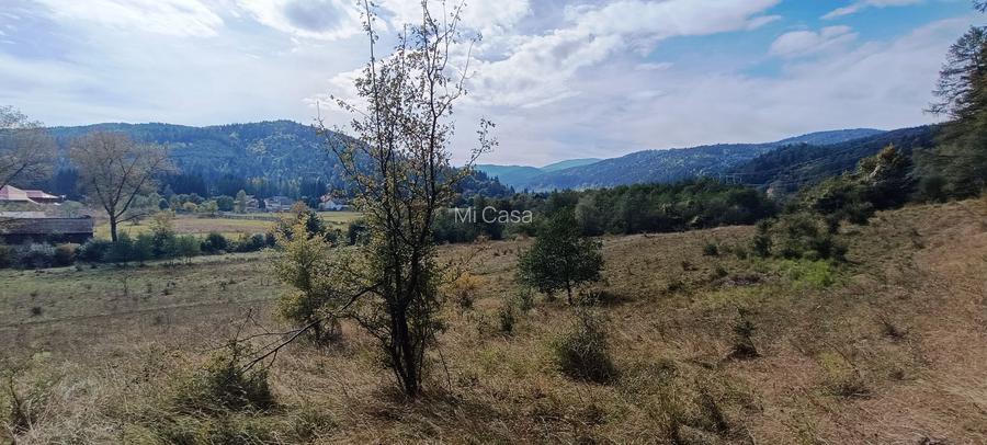 teren in zona Bradet-Sacele - 4