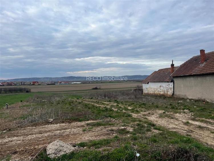 RECO Teren intravilan 700 mp cu toate utilitatile- la asfalt Cheriu - 3