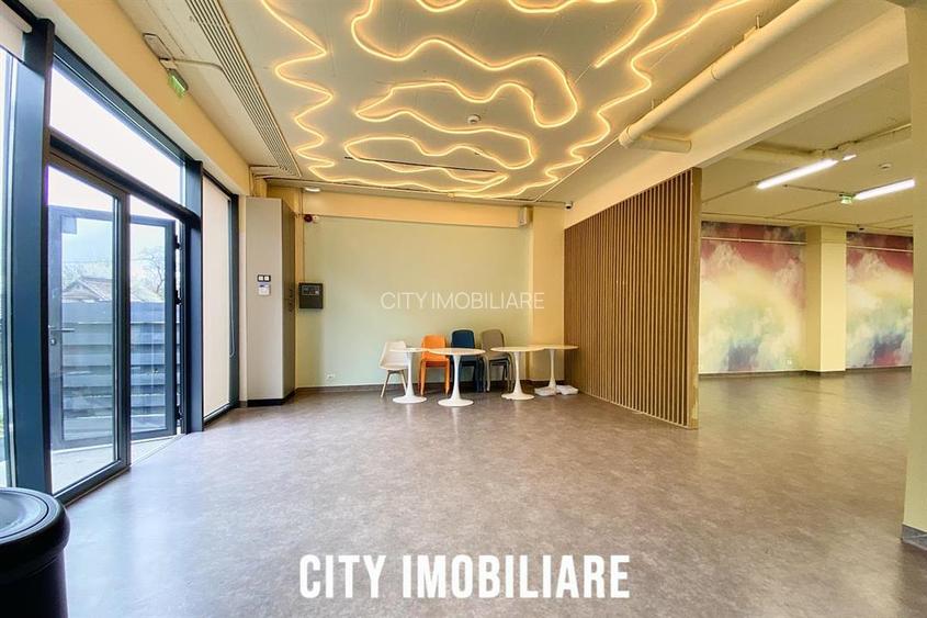 Spatiu comercial 250 mp + terasa 70 mp, Grigorescu, Parter, Ideal HoReCa   Showr - 10