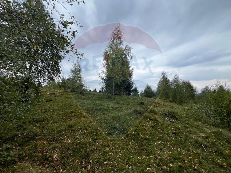 Teren extravilan parcelabil Călățele Pădure, zona Dealu Negru