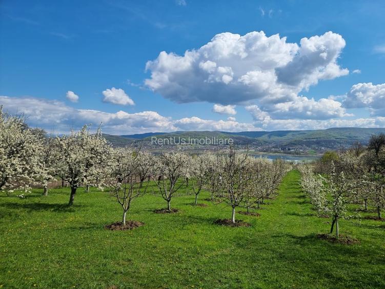 Pamant vanzare | Lac Zigoneni | Valea Lui Enache | Priveliște superba - 13