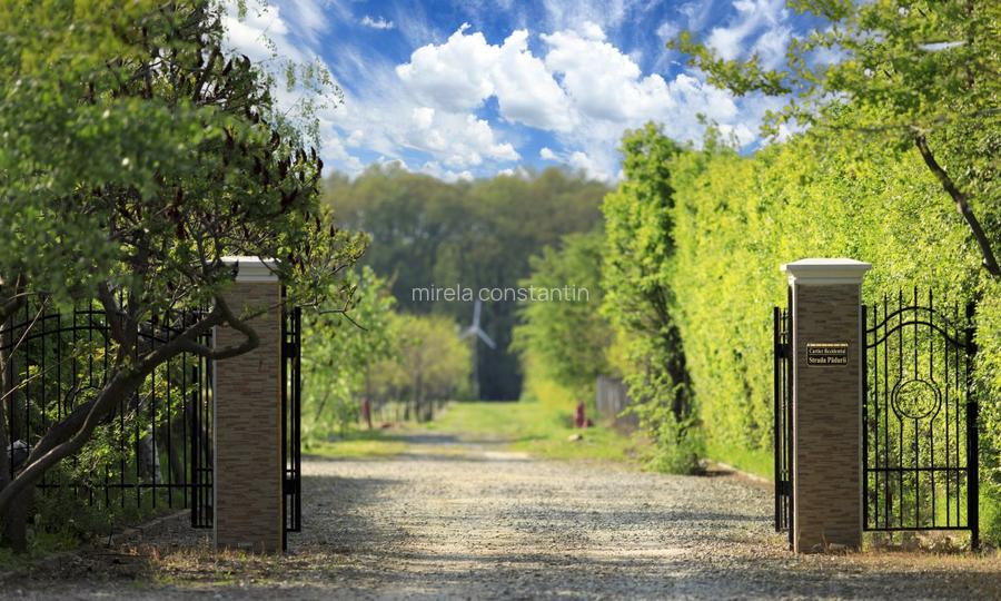 Loturi constructie intre 80-95 Euro/mp - Afumati, Strada Padurii - 7