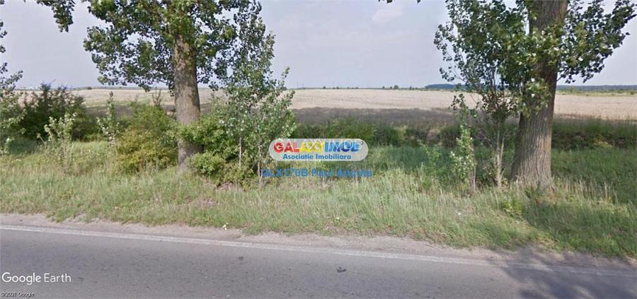 Teren la Drum Judetean Stefanesti Dascalu 13900 mp - 2