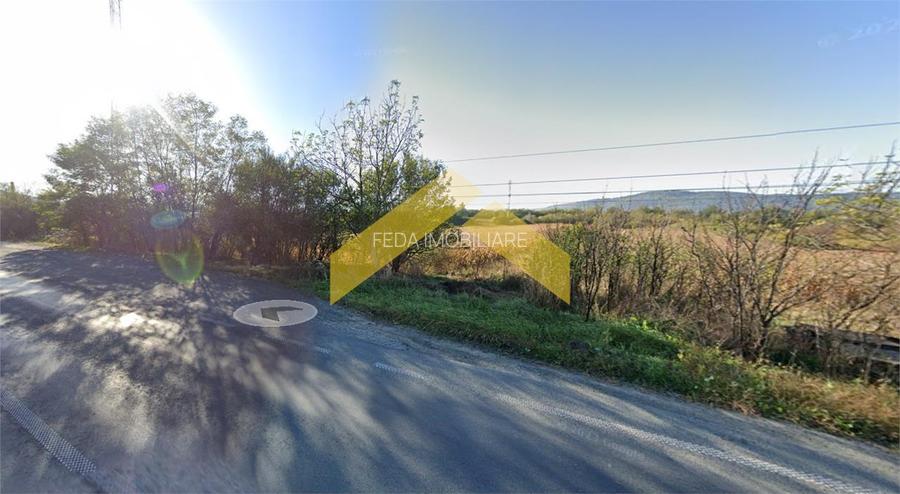 Teren 4000 mp intravilan de vanzare localitatea Barzava - 2