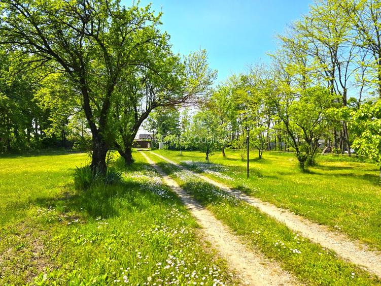 Proprietate unica, deschidere generoasa directa la lacul Snagov - 35