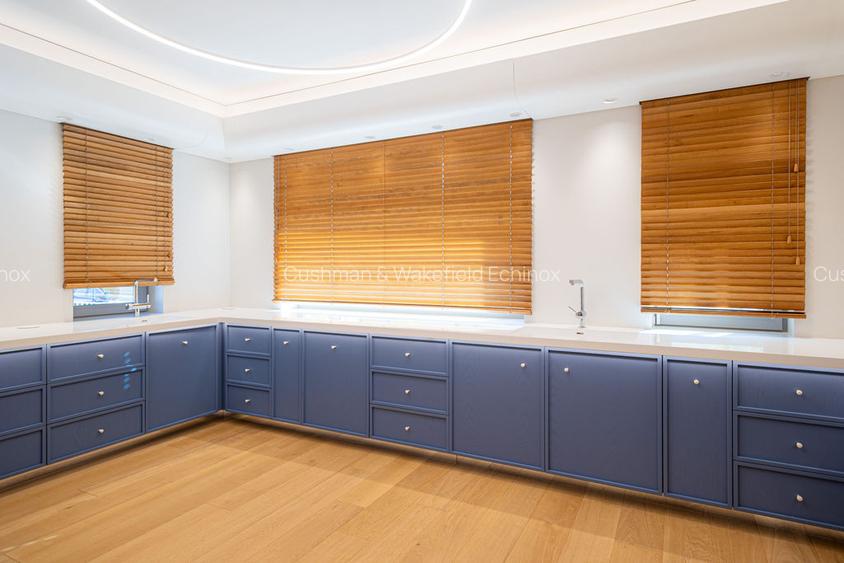 Vila noua, cu arhitectura moderna de vanzare - Timpuri Noi - 4