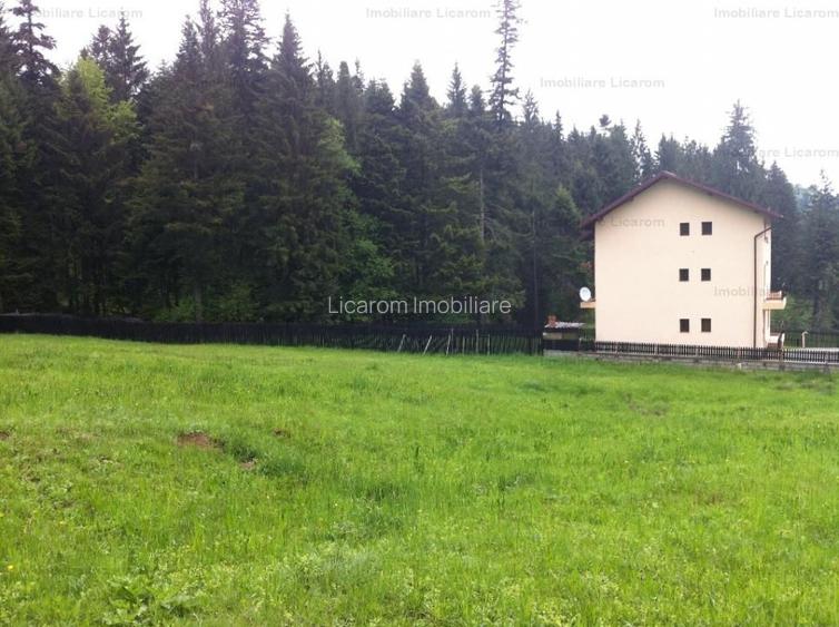 Teren intravilan Cotul Donului,pretabil Hotel/pensiune. - 2