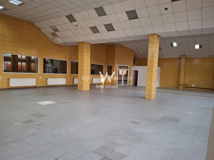 Spatii de inchiriat pentru productie/ industrial, Sibiu - 14