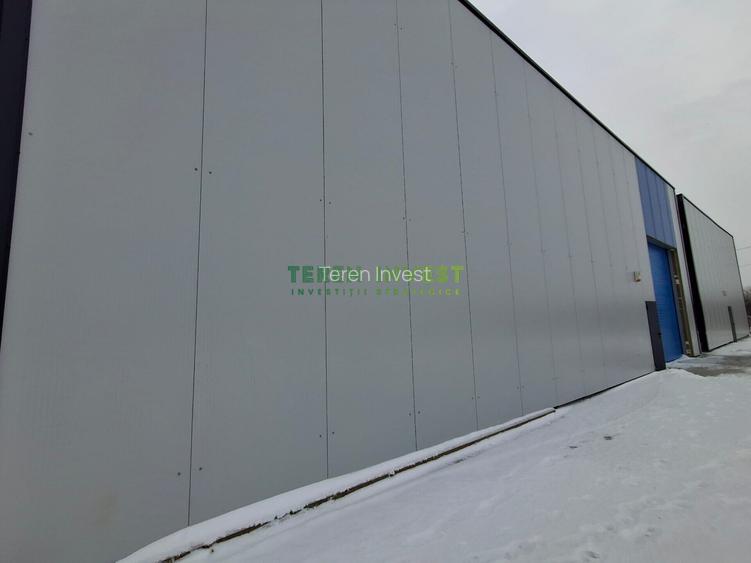 Vânzare hală depozitare - Drumul Între Tarlale - 2