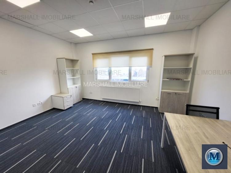 Spatiu industrial de inchiriat, zona Exterior Vest, 1185 mp #16782 - 6