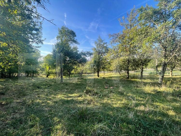 Casa de vanzare, 70 mp , teren de 3000 mp , Cacova Ierii  - 5