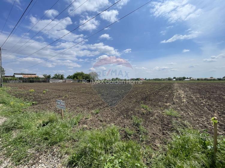 Teren Tifesti / Strada Secundara 47 - 6