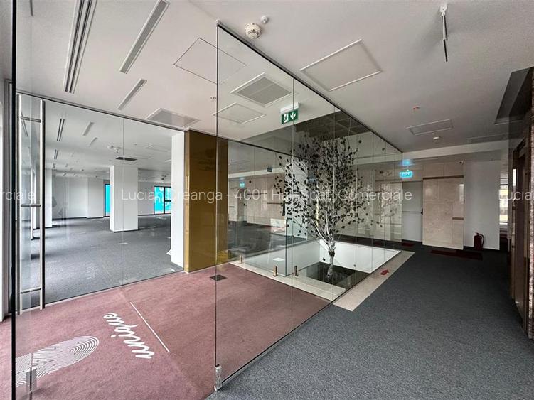 Spatiu birou premium, 484mp, centru, zona Palas - 11