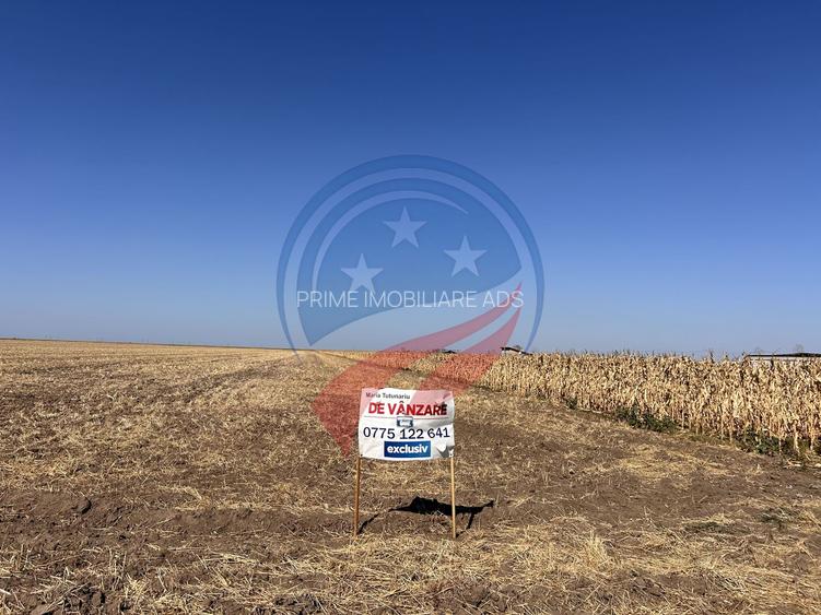 Teren intravilan 5087 mp de vânzare – Pielești - 2