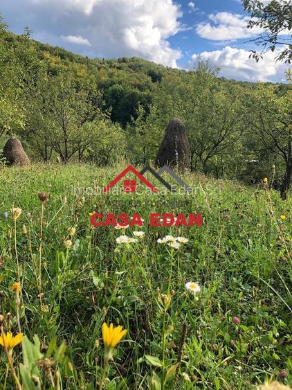 Teren extravilan in Brebu(Pietriceaua)--9104mp--50.000e - 9