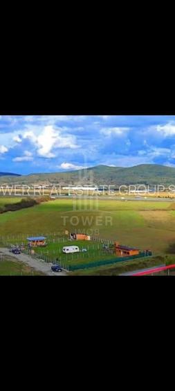 Grădină 862 mp cu cabanuta și pomi fructiferi – între Tălmaciu și Sadu - 8