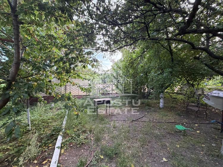 Apartament cu 1 camera, de inchiriat, zona Aradului, Timisoara - 5