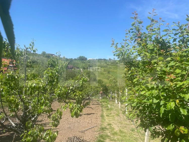 Proprietate cu casa si teren in Oradea - 9