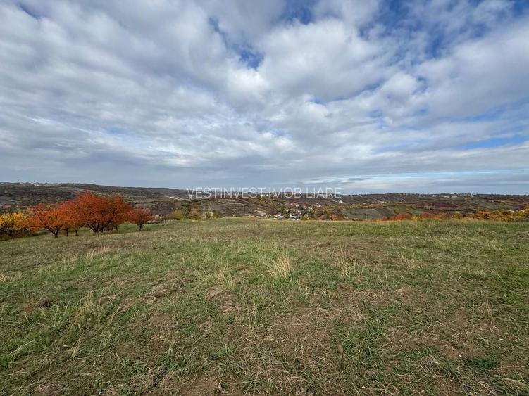 Teren intravilan Dealuri Oradea 3649 mp - 2