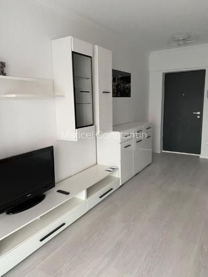Închiriere apartament cu o cameră Bucium Vișani  - 10