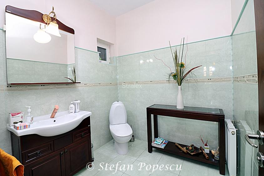 Vila de vanzare Izvorani COR - 11