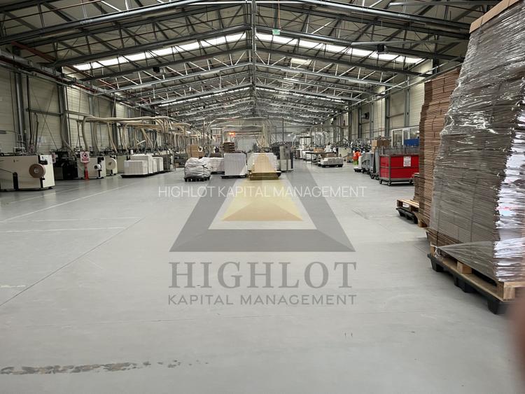 STEFANEȘTII DE JOS |  PARC INDUSTRIAL | POZIȚIONARE STRATEGICĂ - A3 -A0-DNCB - 7