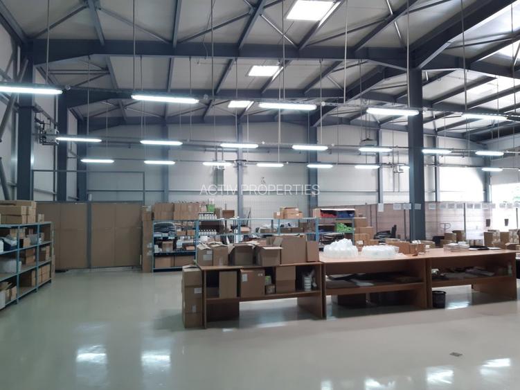 Birouri, Showroom, Sala de prezentari, Depozit , functiuni multiple - 2