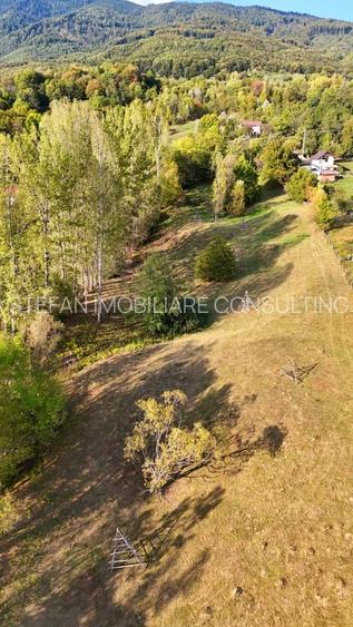 Teren intravilan+extravilan / Corbeni-Arges - 6