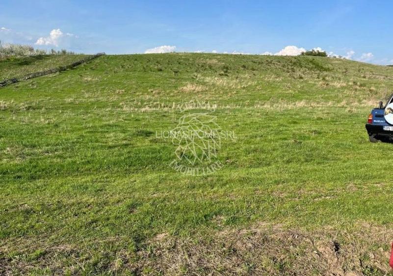 Teren 3300 mp-investitie, case de vacanta, agricultura-Valea Sigmirului - 2