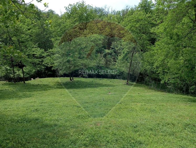 Vanzare casa  4 camere-microferma, cu panouri fotovoltaice - 16