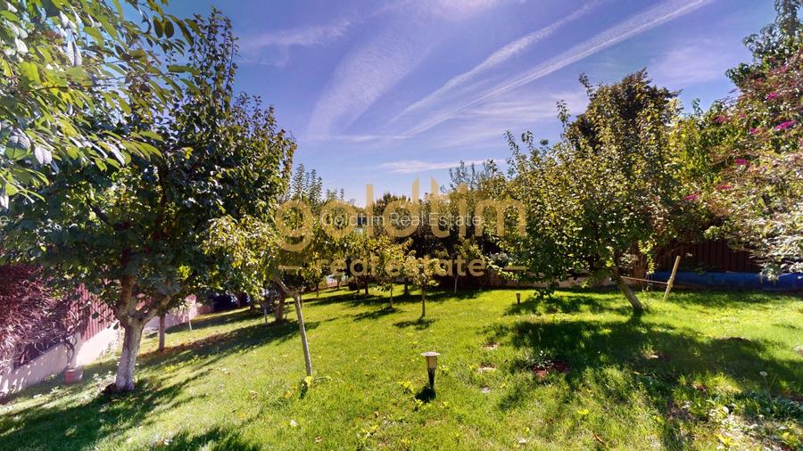 VILA SUPERBA/ DESCHIDERE LA LAC/PISCINA/CURTE/GRADINA AMENAJATA/BALOTESTI - 38