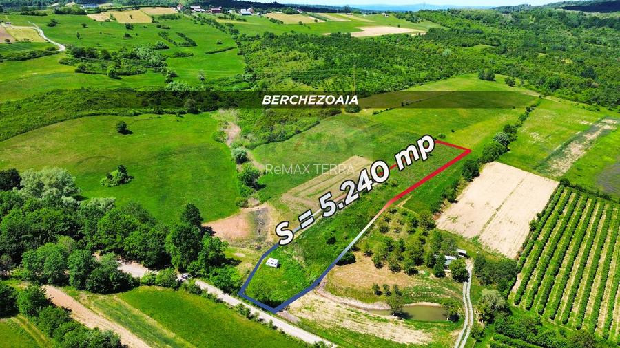 Teren cu panorama superba în Berchezoaia + bonus rulota - 2