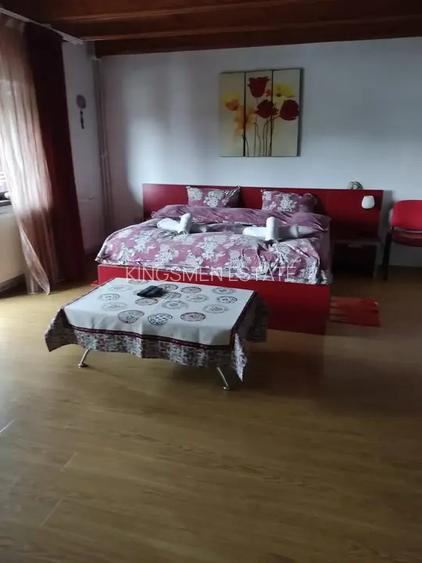 Resedinta cu 8 camere in Orasul Breaza - 8