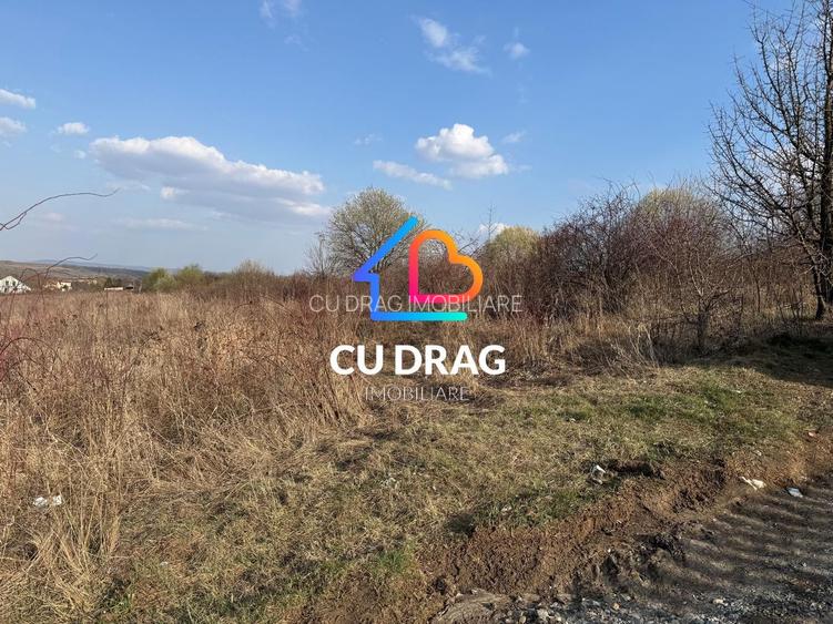 Teren intravilan cu toate utilitatile si drum amenajat Daia - 2