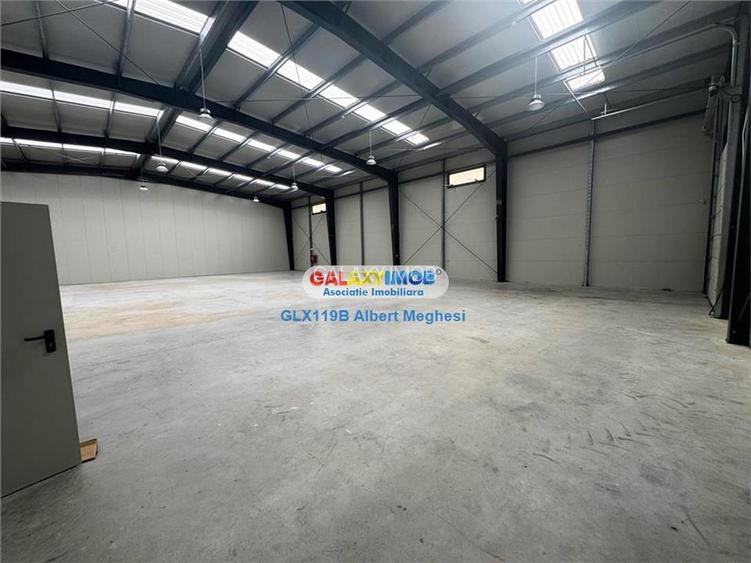 Inchiriere Spatiu Depozitare Hala Centura-Mogosoaia - 4