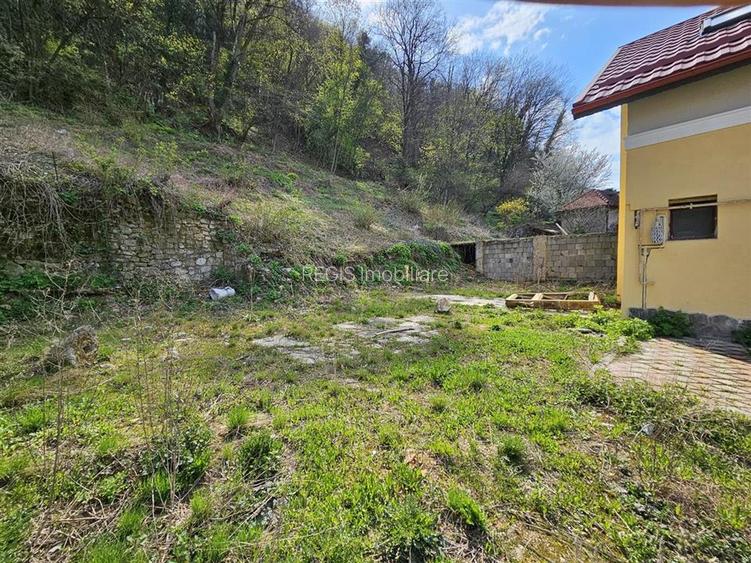 Teren Intravilan Dobrogeanu Gherea - 4