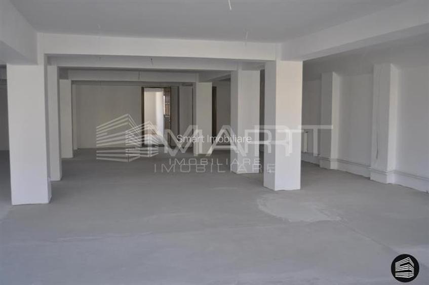 Spatiu birouri & comercial Central - 7