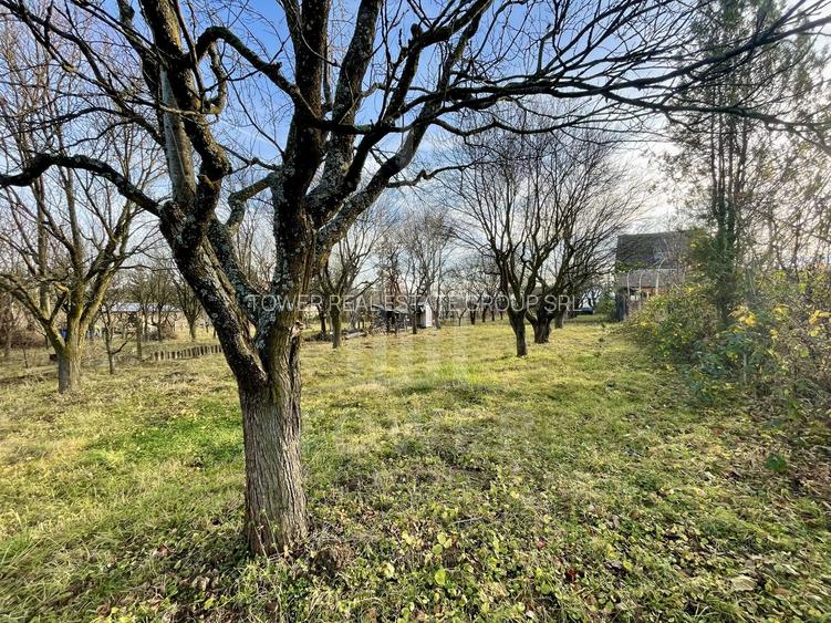 Teren intravilan 1.915 mp + cabană din lemn | Tocile – Sadu - 11