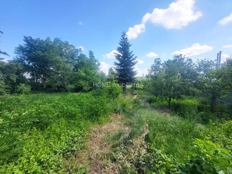 Teren Electricienilor Bacau - 4