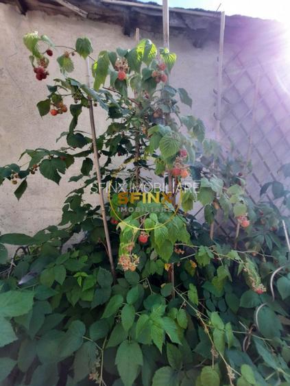 Parc Marin Preda, sector 1, vanzare vila individuala, mobilata, gradina, parcare - 41