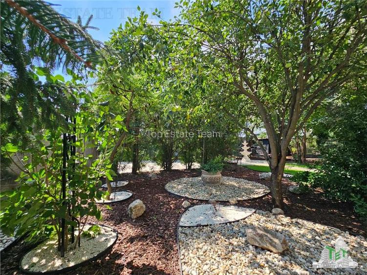 Vila superba, cu piscina, 970mp teren, D+P+E+M, gradina amenajata+pomi fructifer - 12