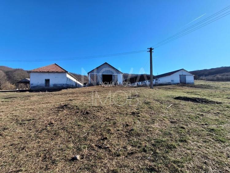 Ferma complet echipata de vanzare – zona Agnita, judetul Sibiu - 4